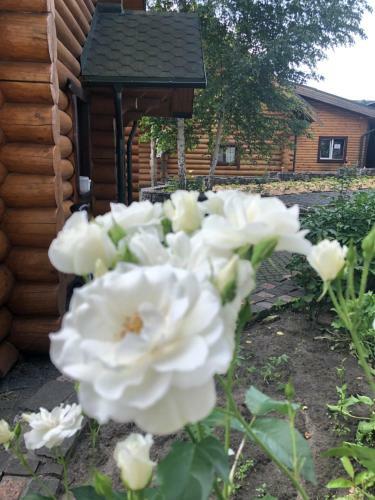 Hostal Gostynna Sadyba Kit Bayun