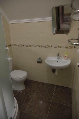 Albergue Alekselena