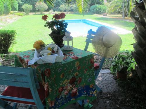 No Meio Da Natureza - Turismo No Espaco Rural
