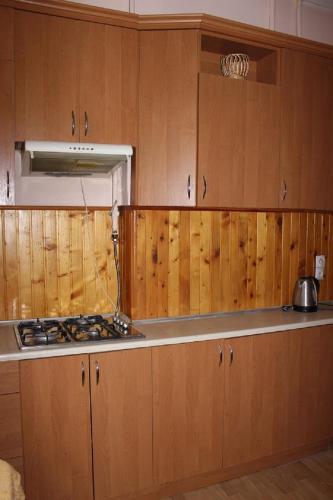 Apartament On Shevchenka Ave 12