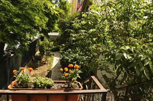 Hostal Bozhur Guest House
