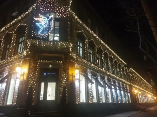 Pushkinskaya 14 Aparts