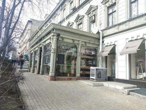Pushkinskaya 14 Aparts