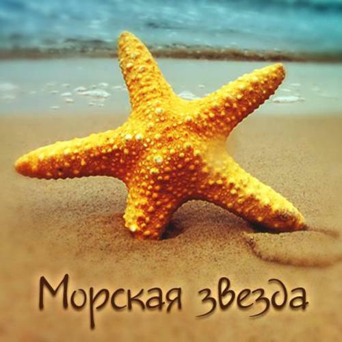 Posada Starfish
