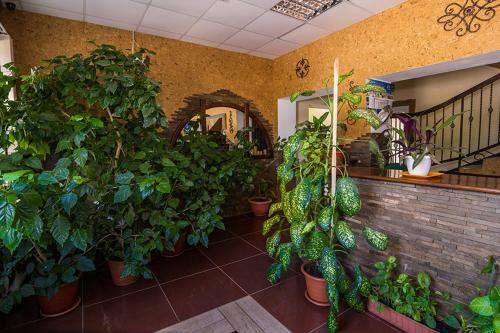 Hotel Citadella
