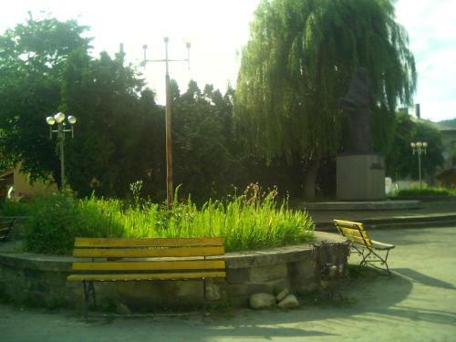 Hostal U Gostinnoyi Marichky