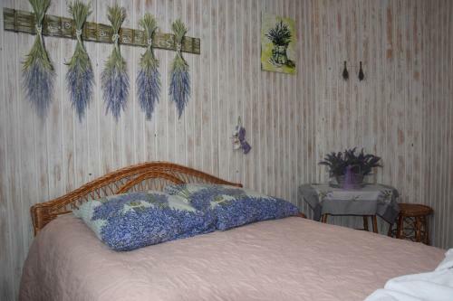 Hostal Kvitkovyi Rai