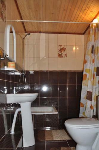 Lodge Zacharovany Karpaty