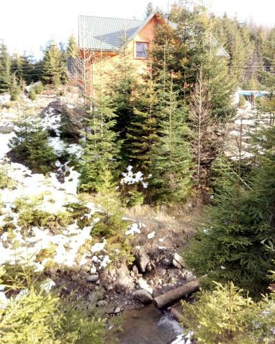 Hostal Wooddream