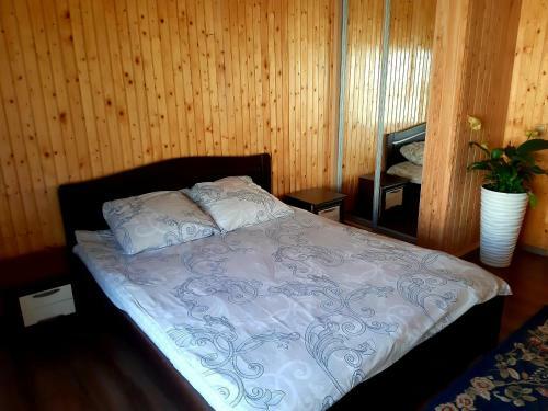 Hostal Guest House Oleksandriya