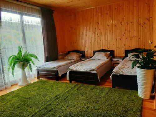 Hostal Guest House Oleksandriya