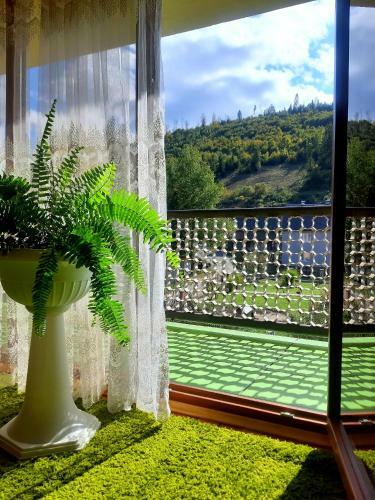 Hostal Guest House Oleksandriya