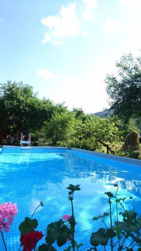 Hostal Doroga Dodomu