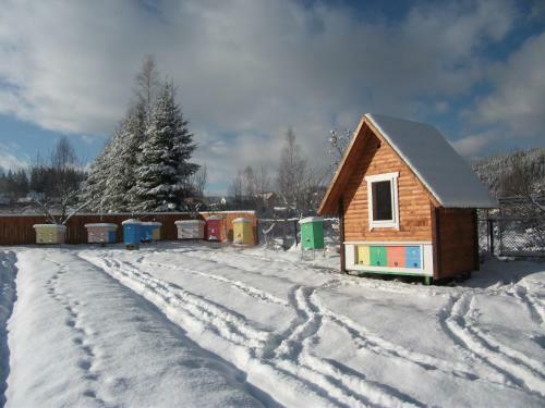 Hostal Karpatskyi Gomin