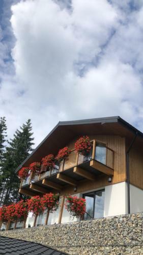 Gogodz Chalet Resort