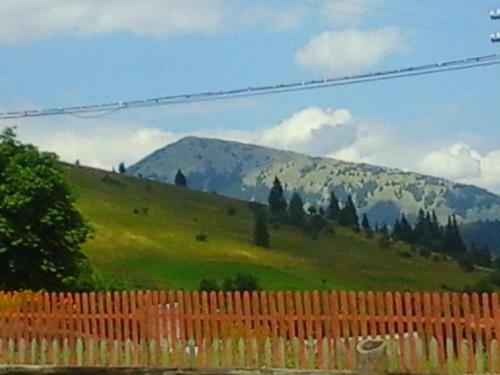 Hostal Romashka Guest House