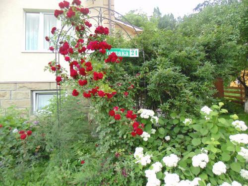 Hostal Sadyba U Lesi