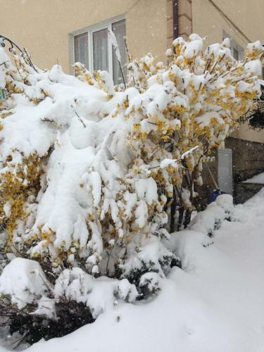 Hostal Sadyba U Lesi