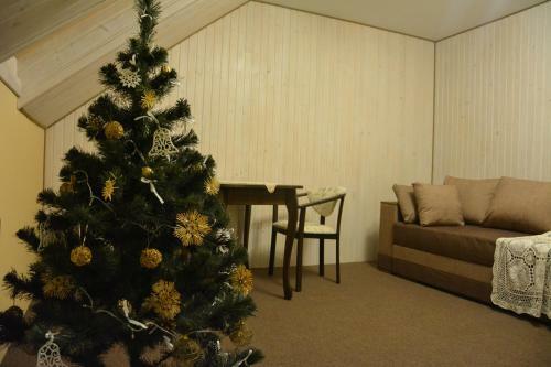 Hostal Bukovets'