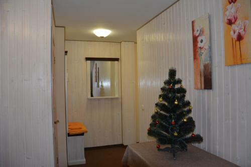 Hostal Bukovets'