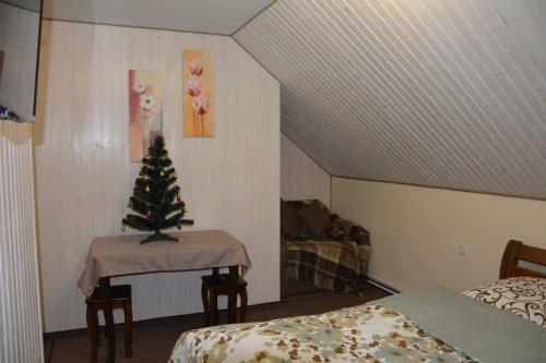 Hostal Bukovets'
