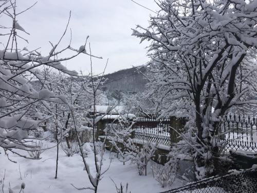 Hostal Zyma_lito Guest House