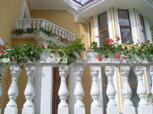 Hostal Gnizdo Golubky
