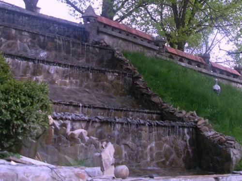 Hostal Gnizdo Golubky