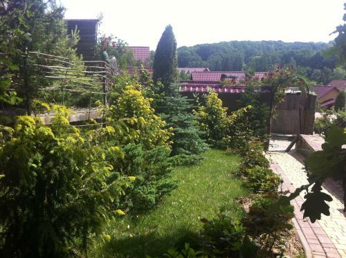 Hostal Gnizdo Golubky