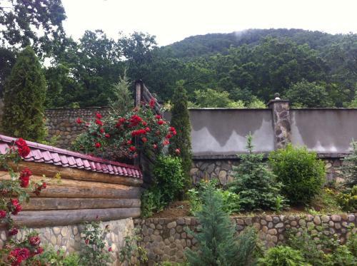 Hostal Gnizdo Golubky