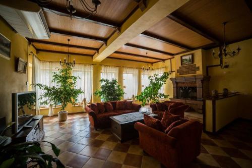 Hostal Gnizdo Golubky
