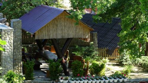 Hostal Gnizdo Golubky