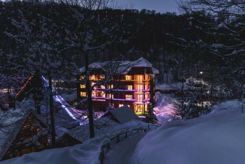 Hotel Davir Spa Resort