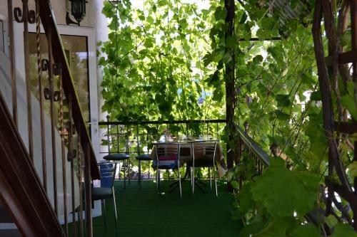 Hostal Guest House Primorskaia 7