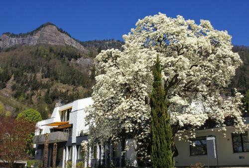 Apartamentos Chateau Sch�pbach