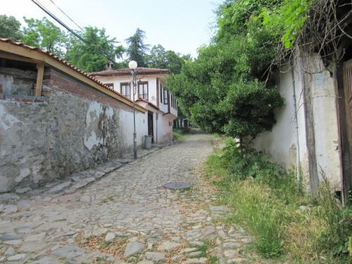 Villa The Zoev House
