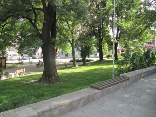 Villa The Zoev House