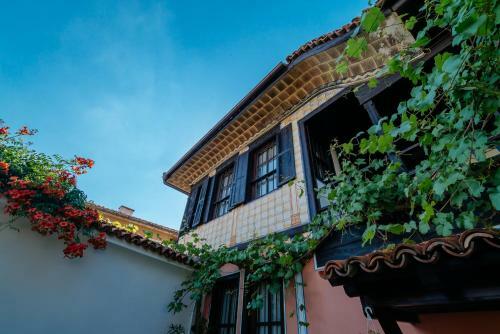 Villa The Zoev House