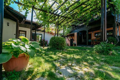 Villa The Zoev House