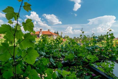 Villa The Zoev House