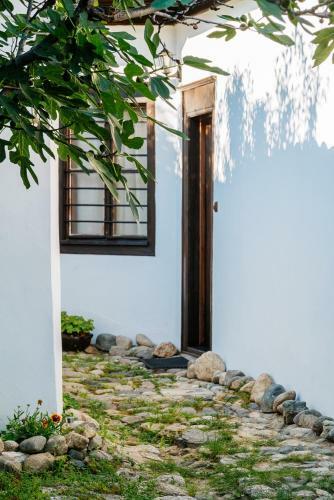 Villa The Zoev House