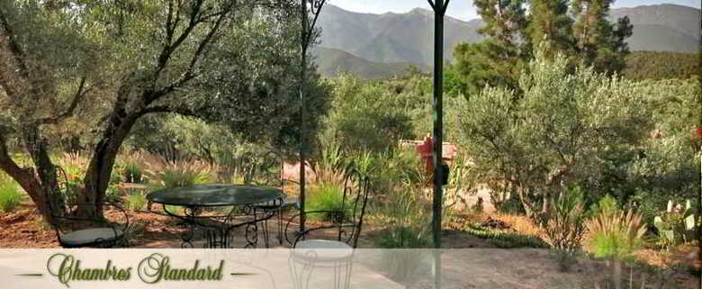 Hotel L'oliveraie De Marigha