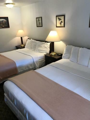 Motel Gold Pan Lodge