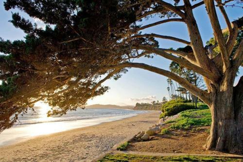 Studio Cottage In Santa Barbara #144023