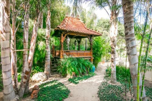 Balinese-inspired Beauty