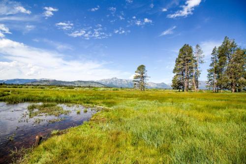 Spruce Grove Field And Stream Cabin Condo