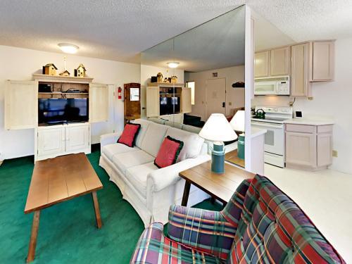 1439 Ski Run Blvd Townhouse E3