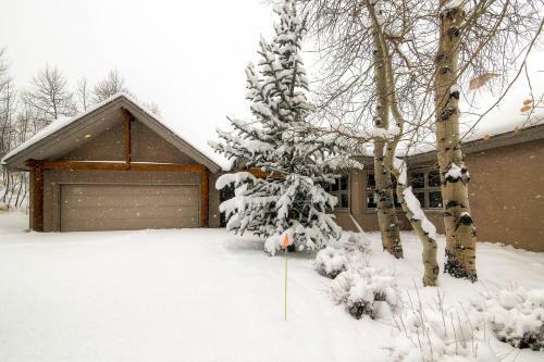 Aspen View