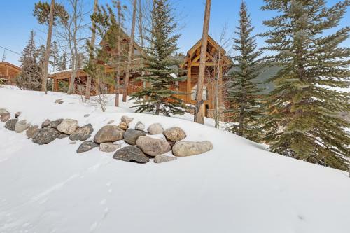 The Cabin