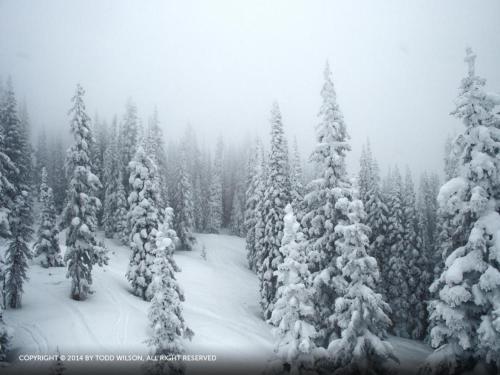 Storm Meadows I At Christie Base - Sc420